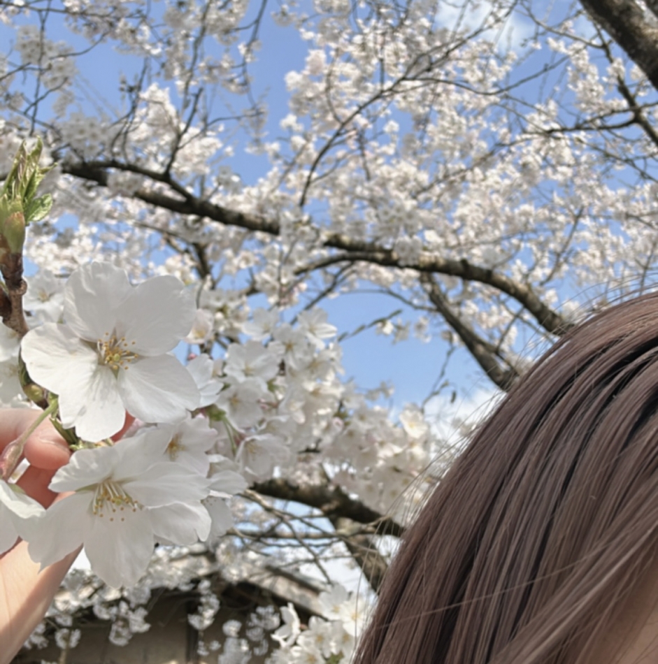 桜咲いてるよ～🌸