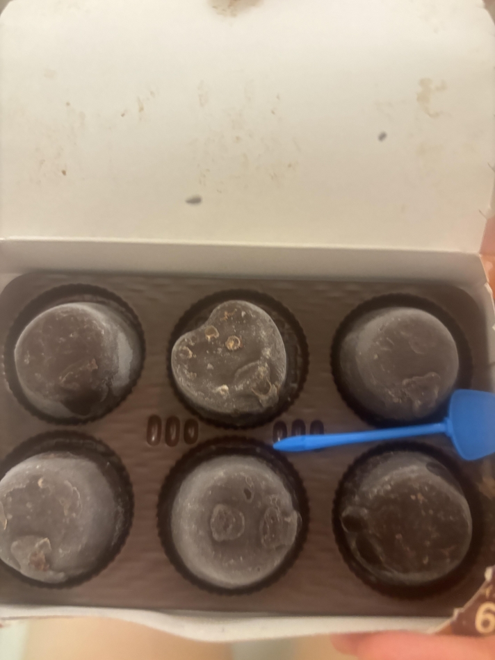 lounge Garden日記1596760