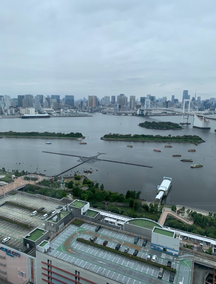 一条 葵