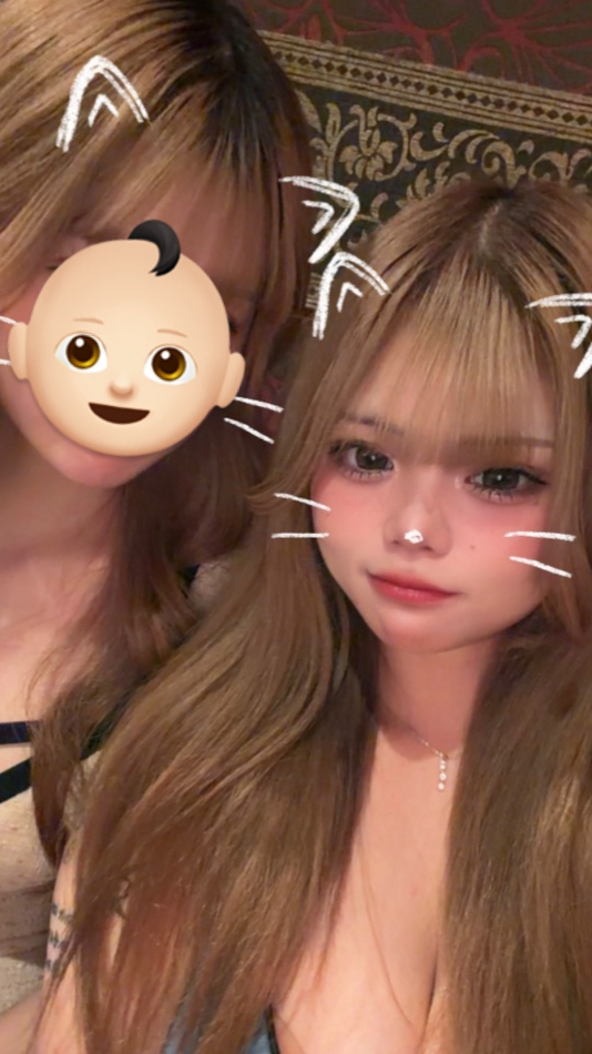 一条 葵