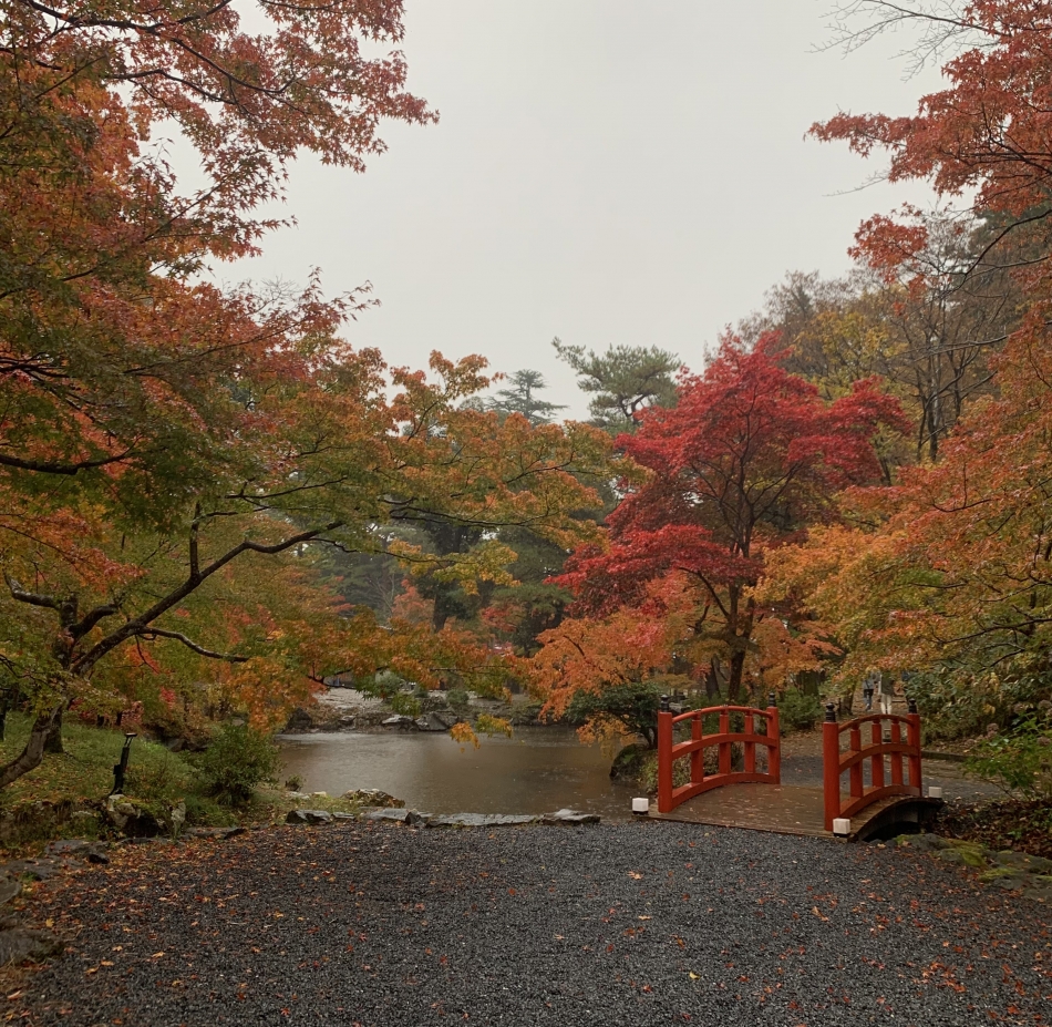 11月28日 20時25分のブログ