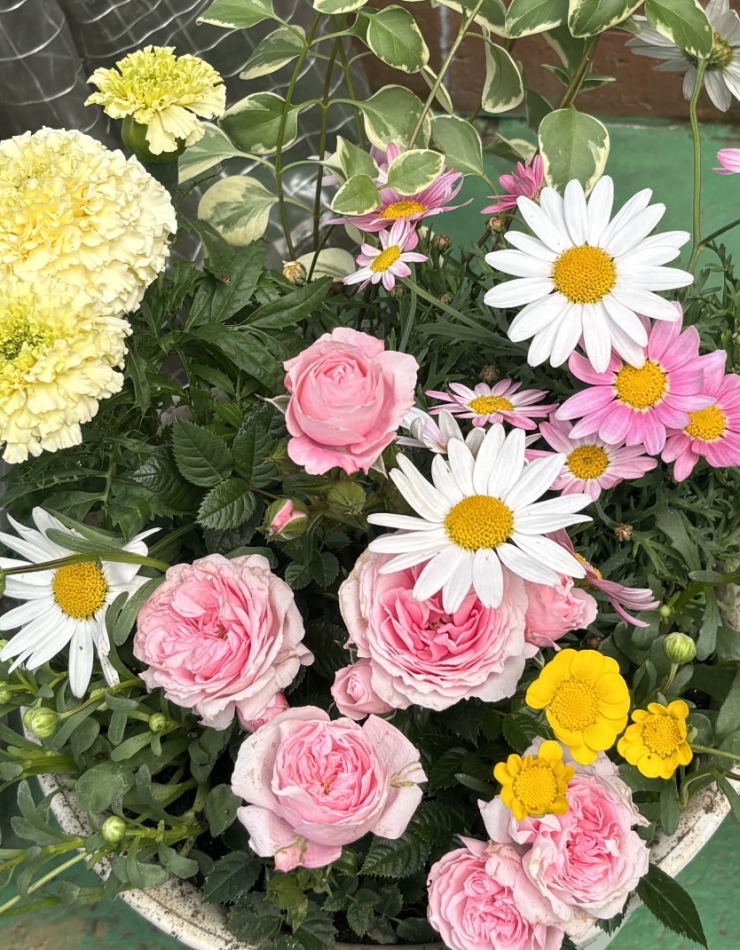 こんばんは¨̮⃝ 4/24