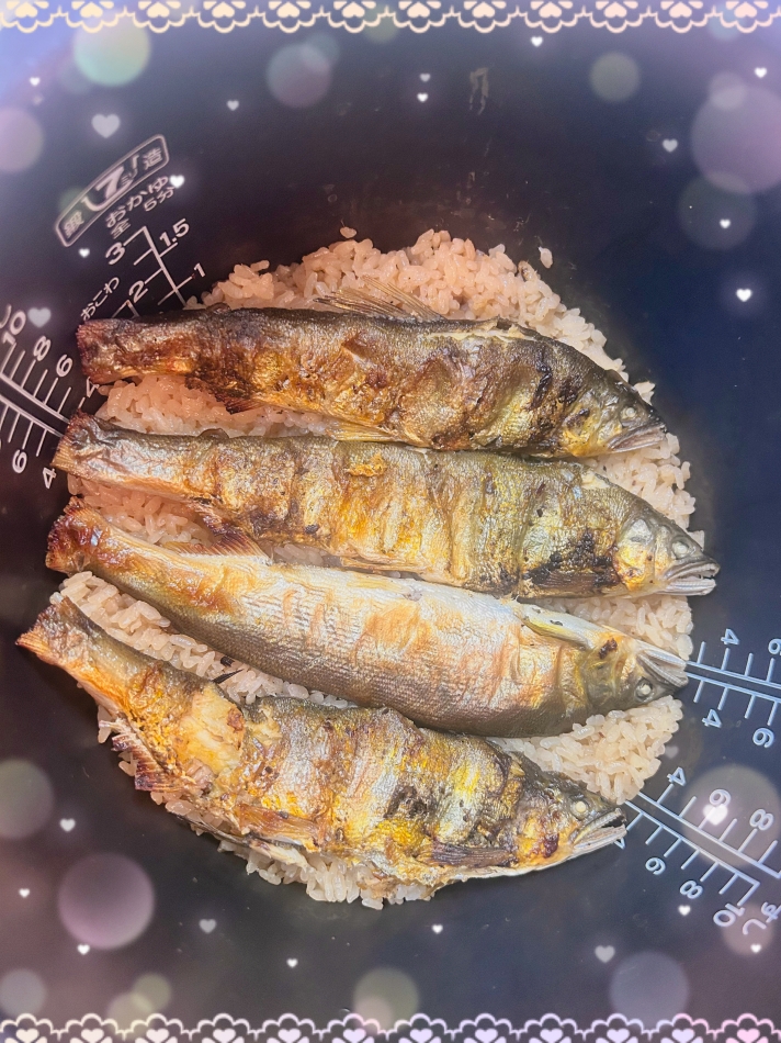 一条 葵