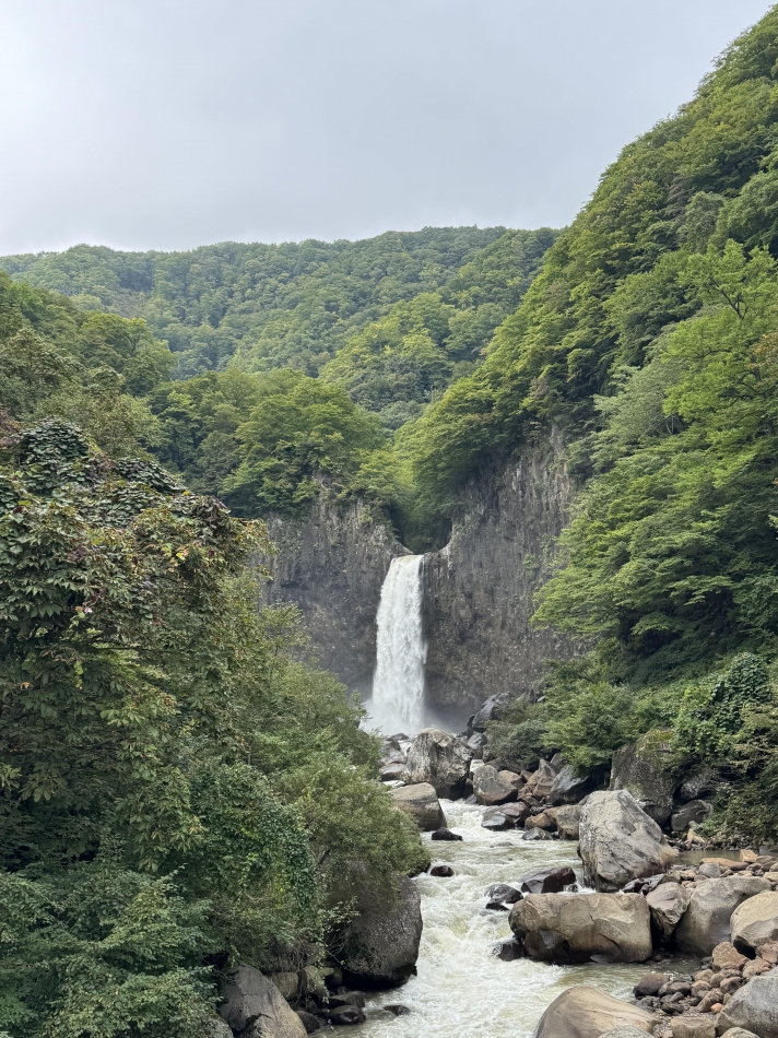 JARDIN CLUB日記1502607