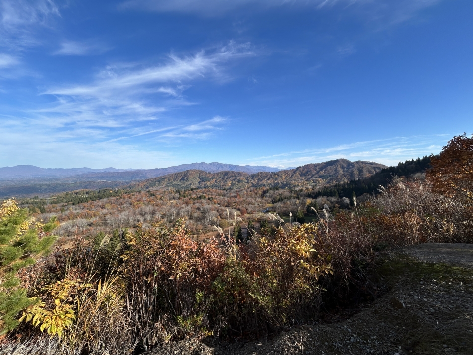 ダーツ&カラオケBAR L STYLE日記1530262