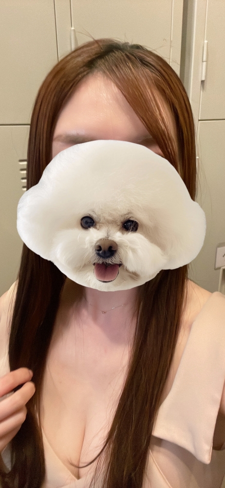 2月14日 21時08分のブログ