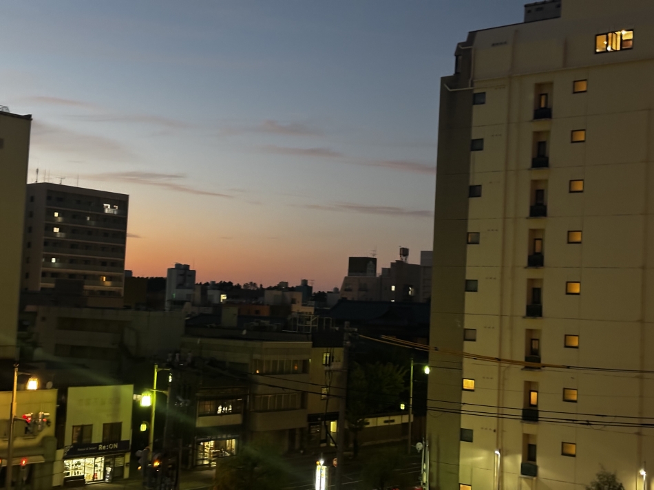 一条 葵