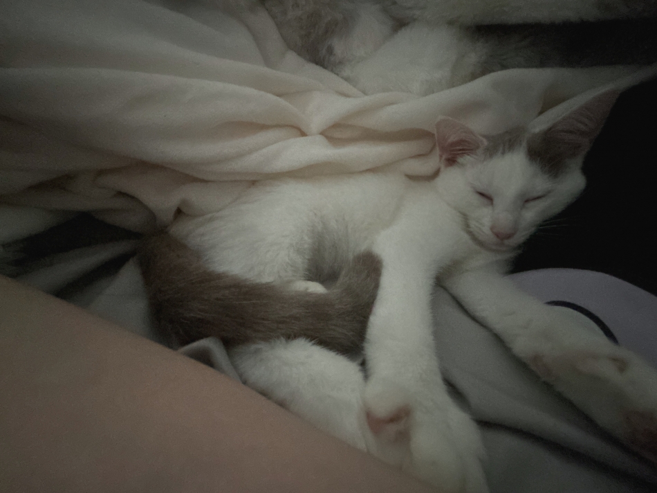 メンヘラ製造しました