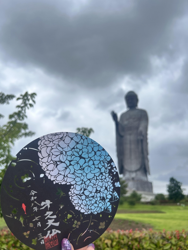 一条 葵