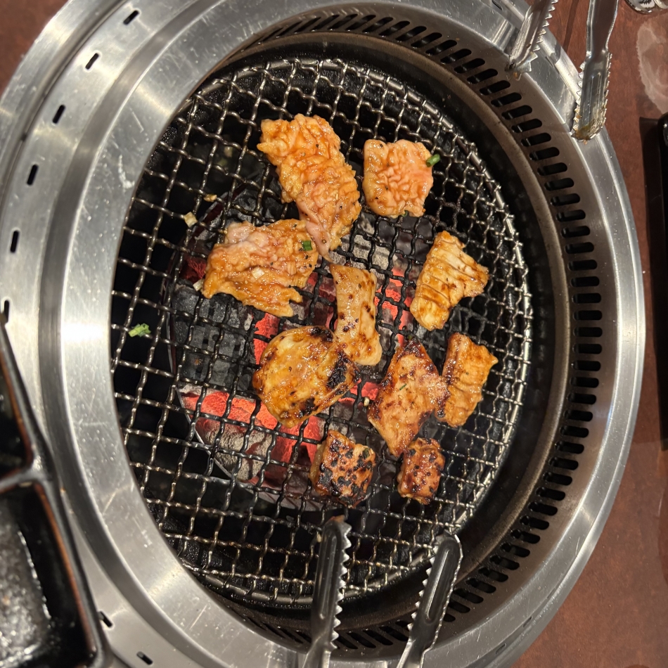 一条 葵