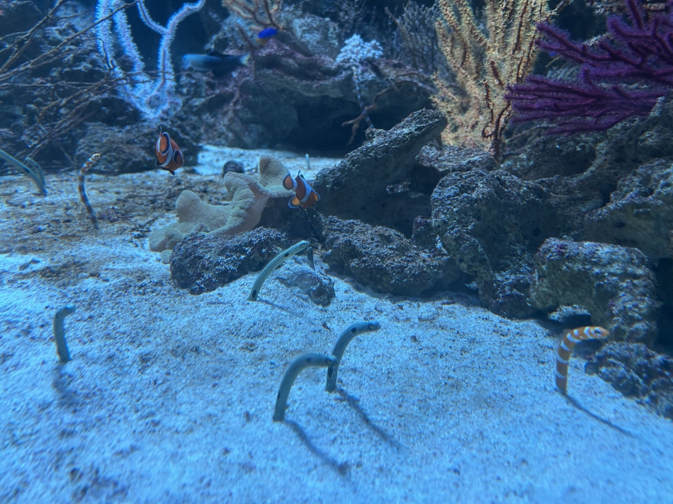 水族館~♡