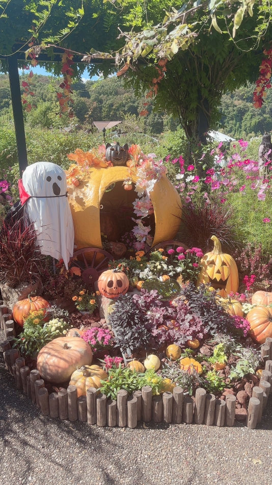 かわいい～🎃🦇🕸