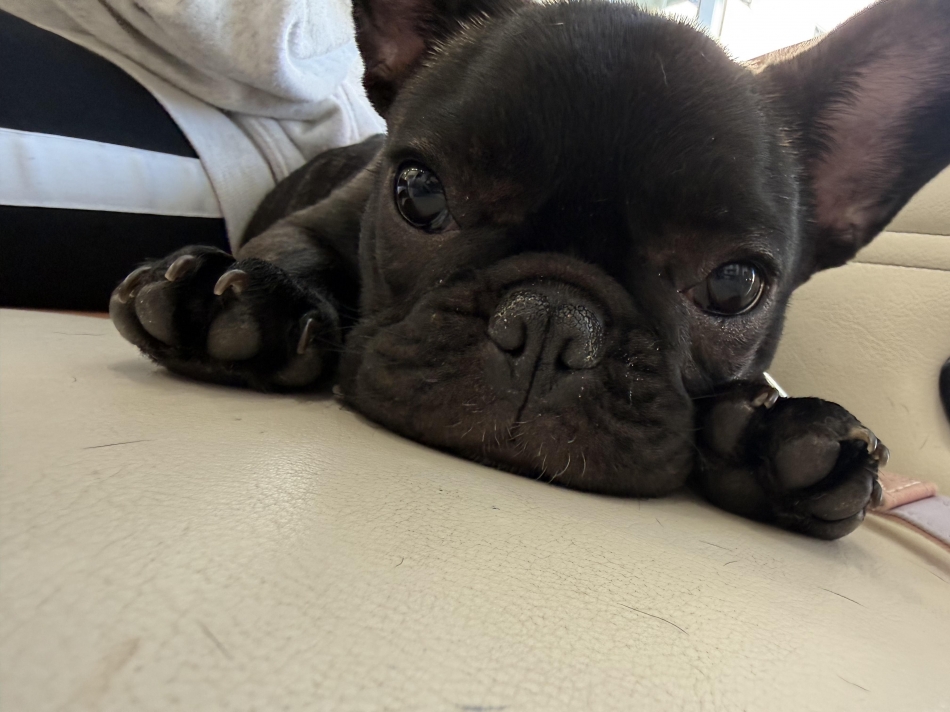 Lounge Veranda日記1616410