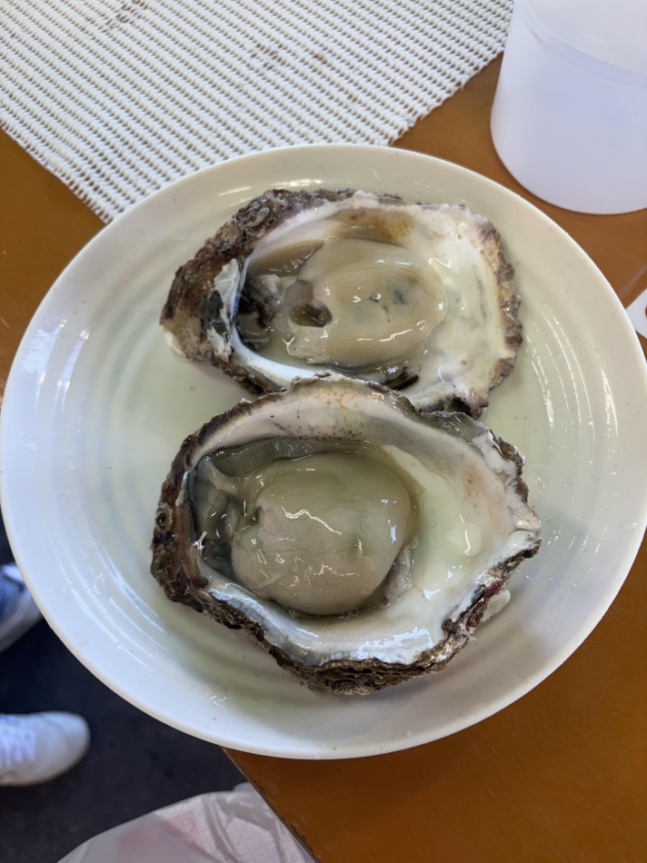 一条 葵
