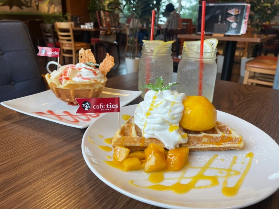 🥞🍽