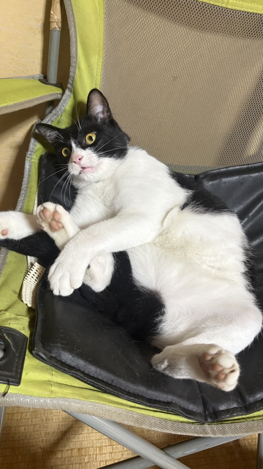 LINOA LOUNGE日記1749980