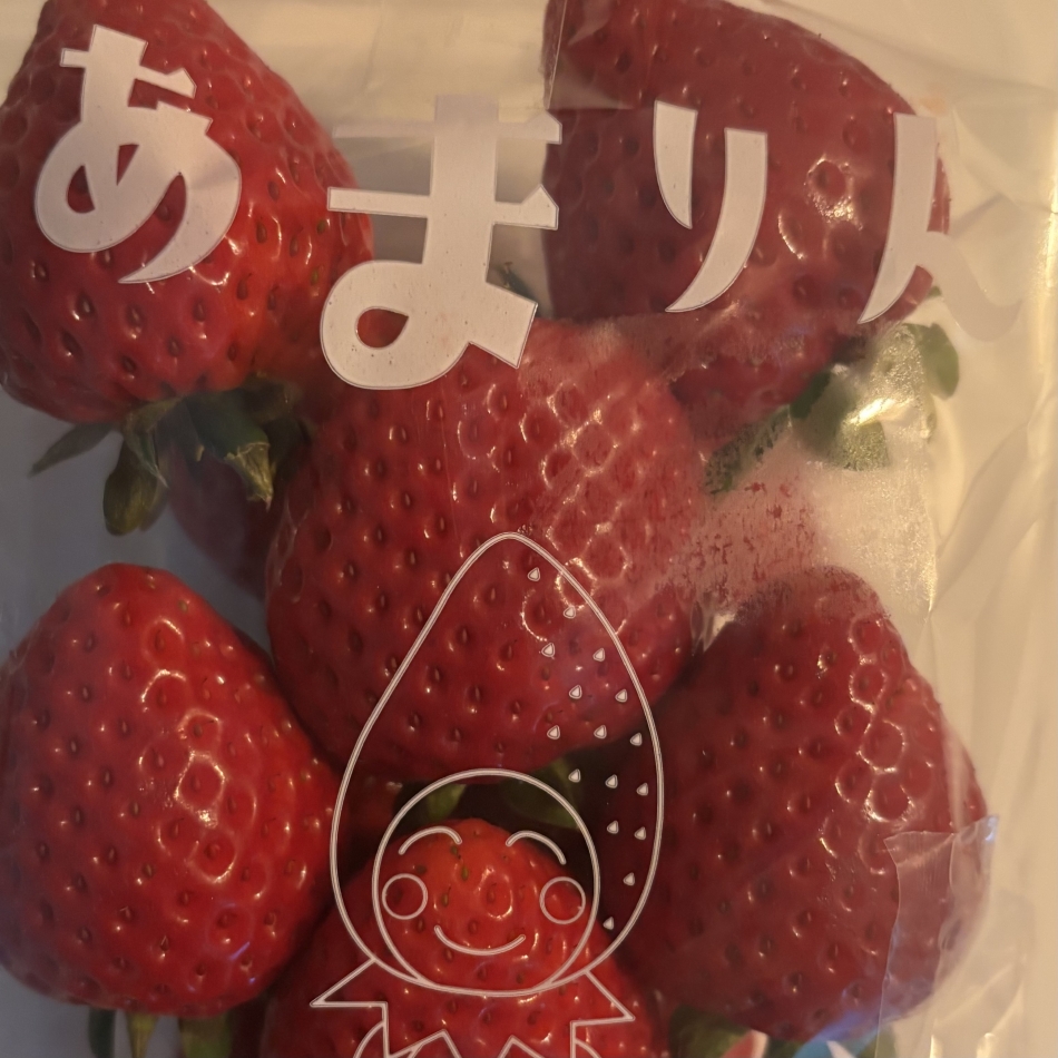 コンセプトカフェ あにまる宮殿日記1612928