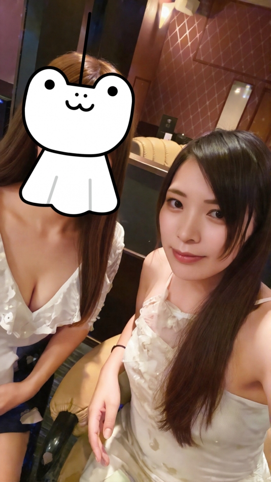 一条 葵