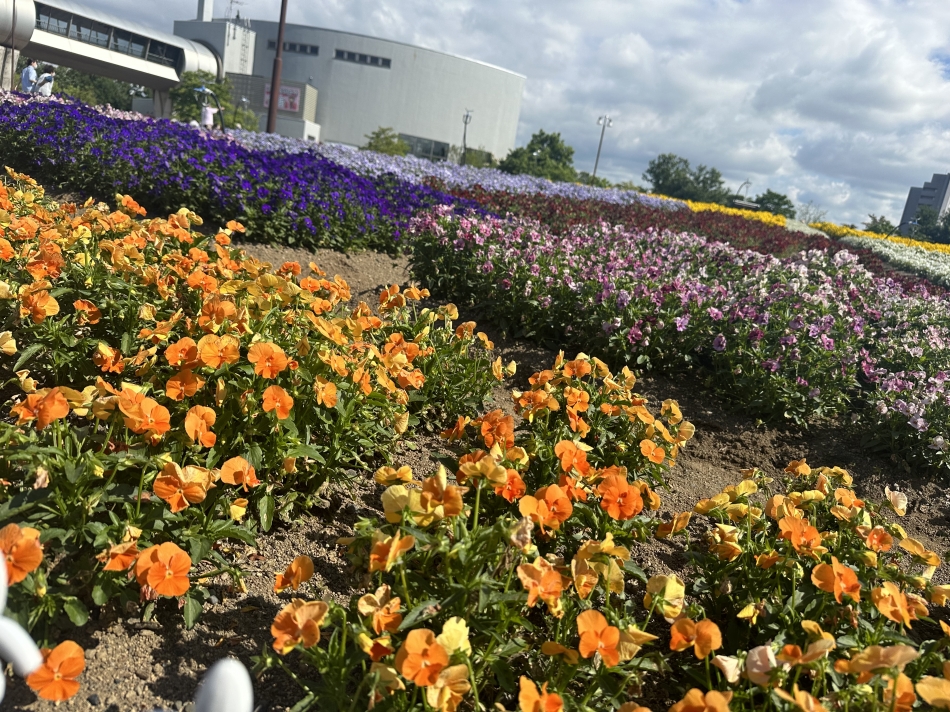 レトロ広場　わいわい日記1094917