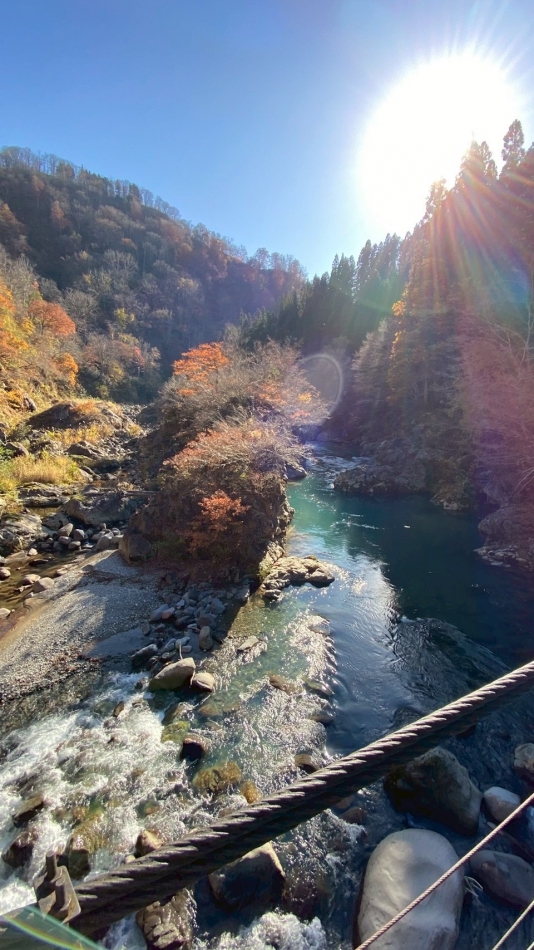 LOTS WEST日記1527946