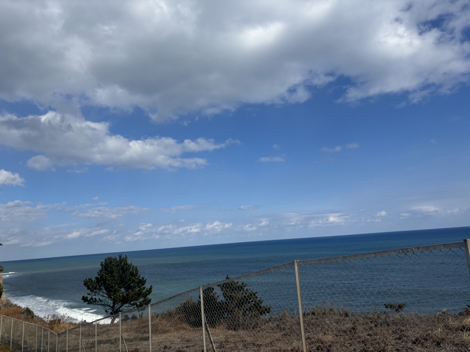 一条 葵