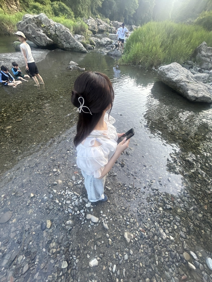 一条 葵