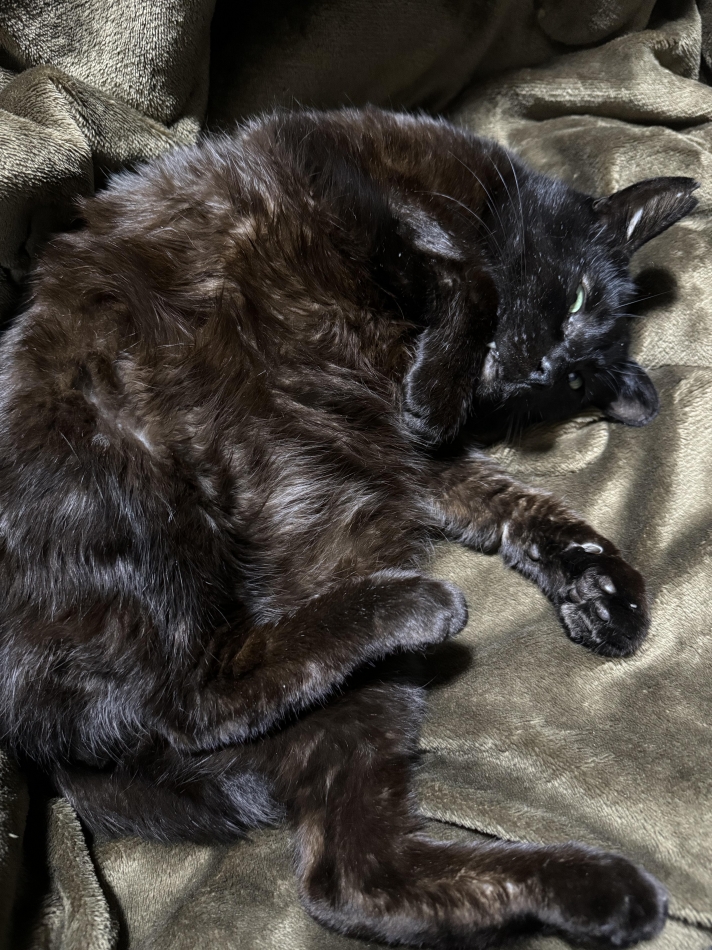 慢性的な写真不足