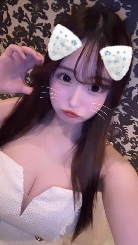 Premium　Ragdoll日記1203760