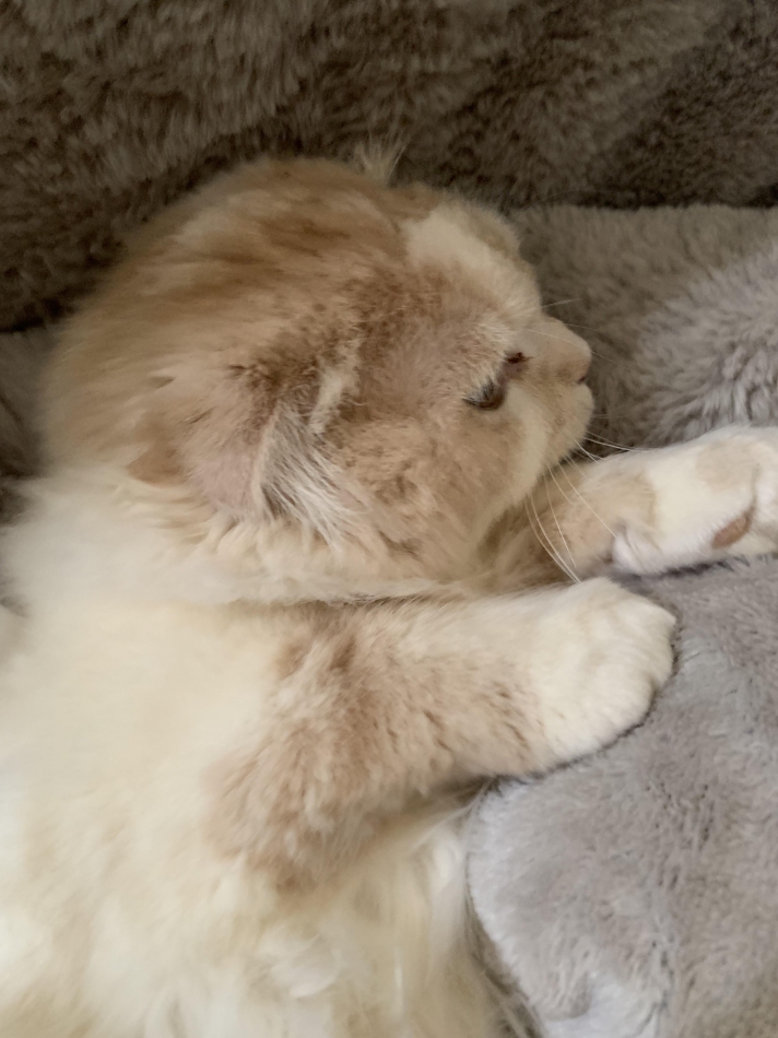 clubTiara日記1615618