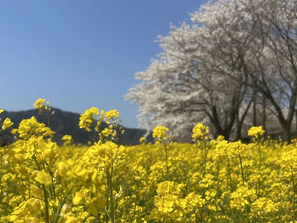 雨女すぎて泣いてる