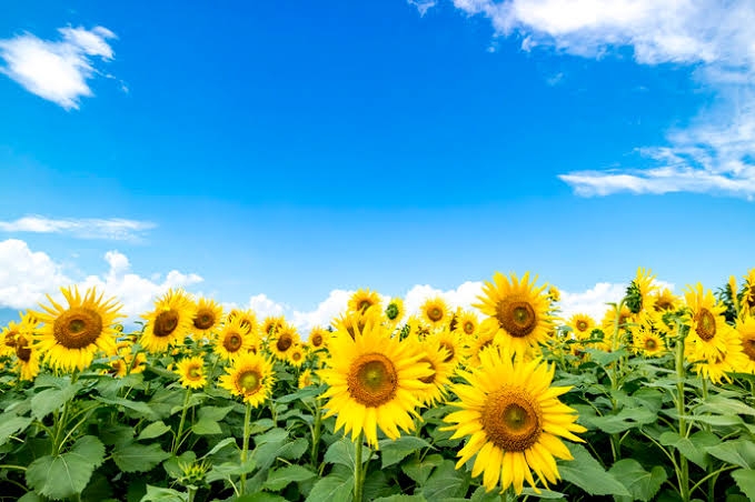 本日貸切営業です！🙇‍♀️