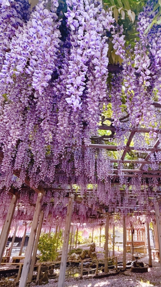 お裾分け💟💭