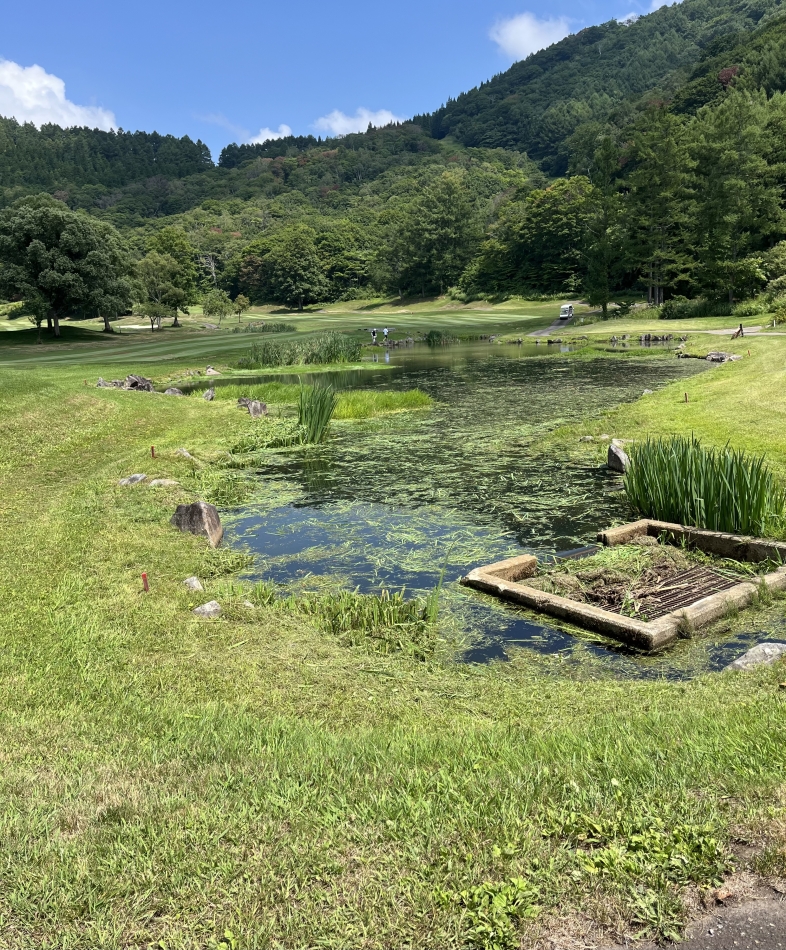 お魚見えないよ！😱