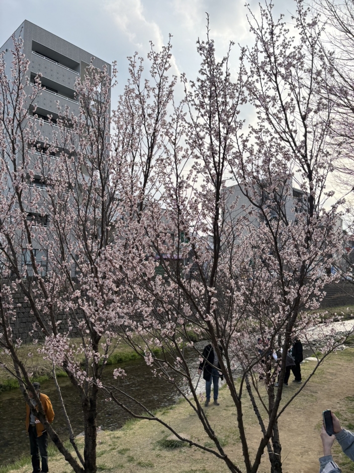 クラブ プラチナ 松本日記1625487