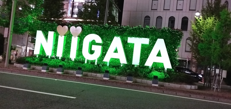 ヾ( 〃∇〃)? ??????♡