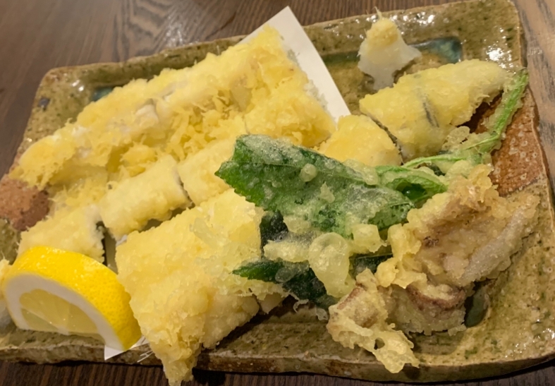 一条 葵