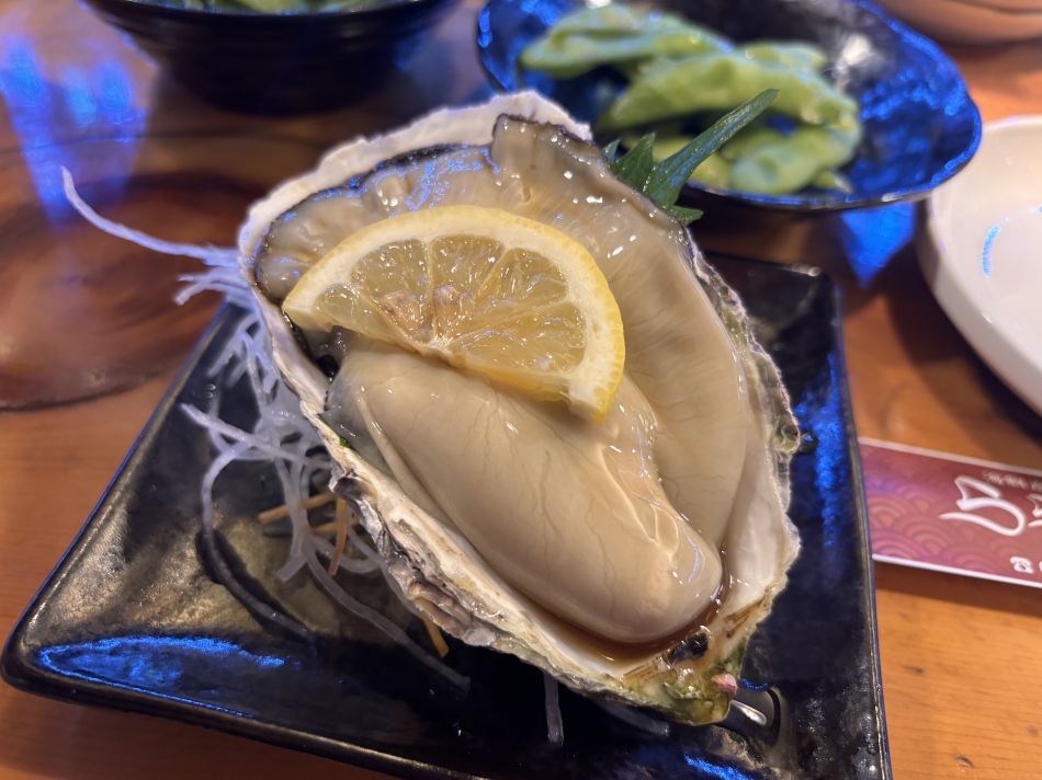 一条 葵