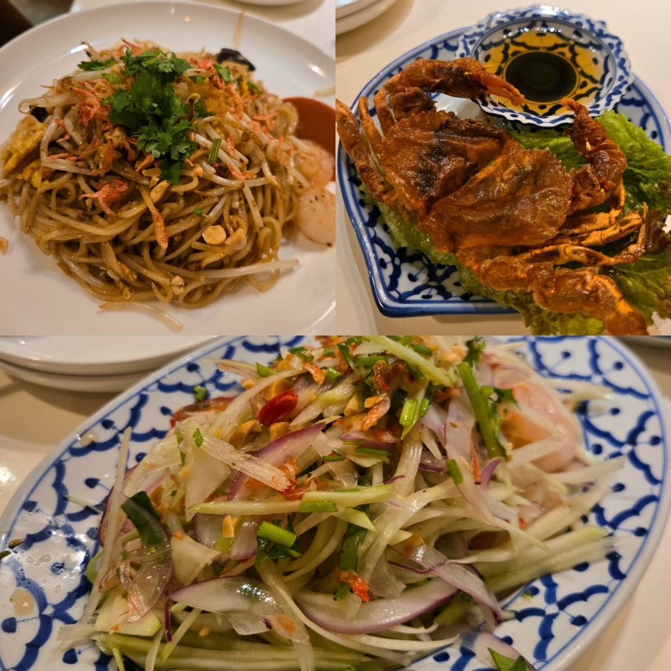 一条 葵
