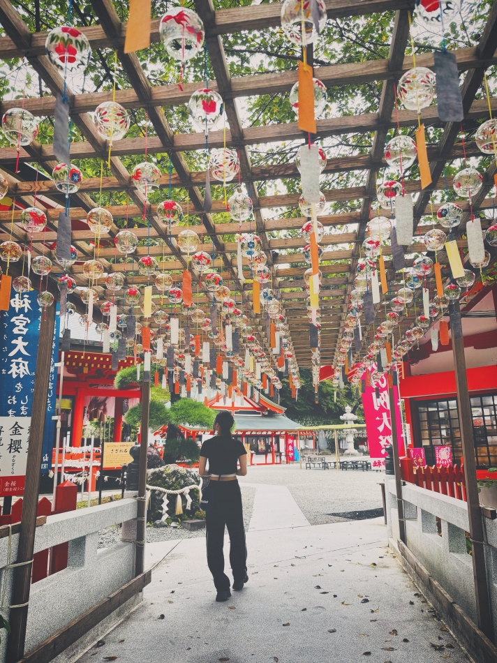 一条 葵
