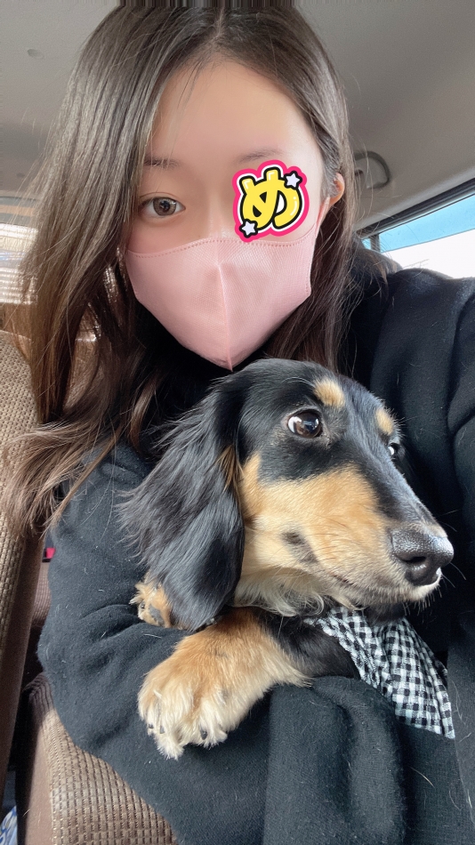 休日の私とイッヌ