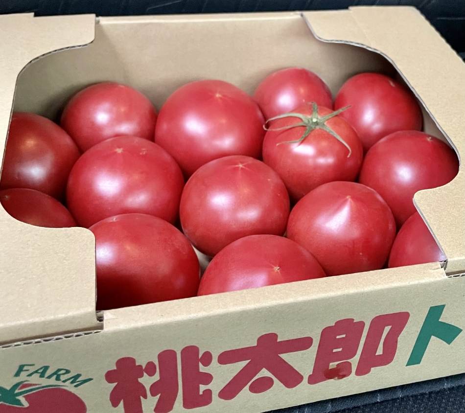 トマト🍅