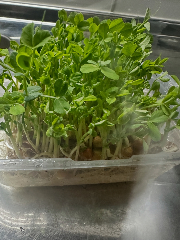 CLUB ASLI日記1629076