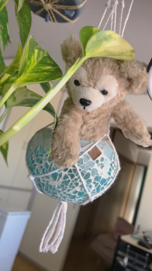 お疲れ様です🍀