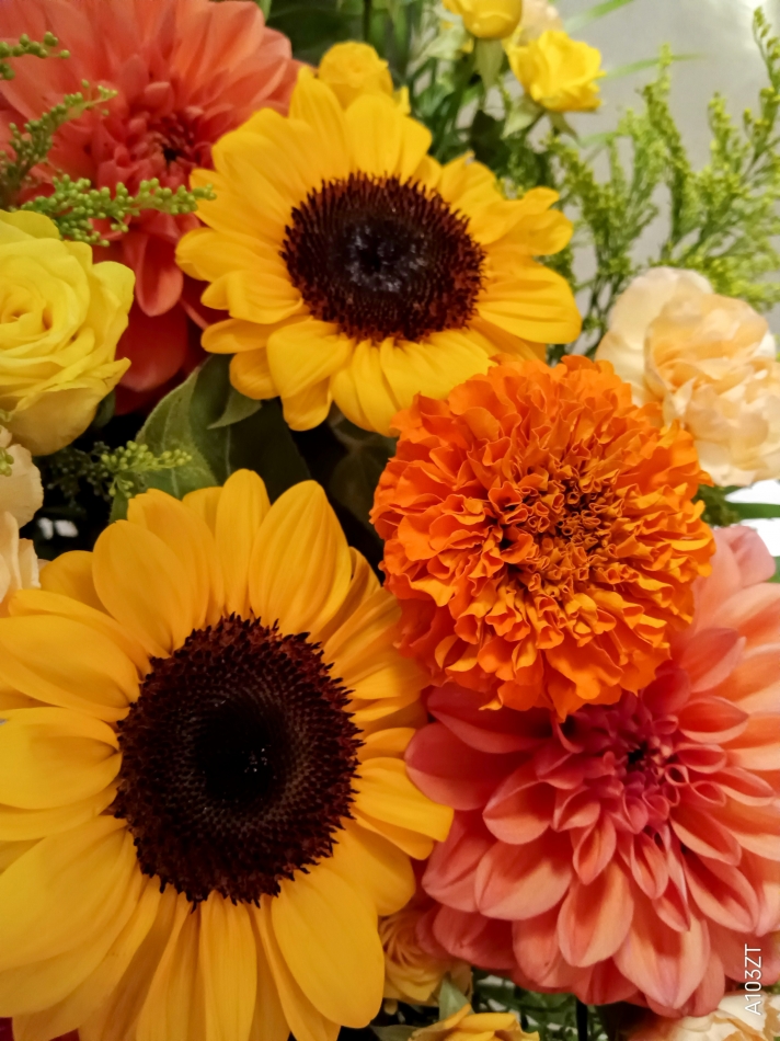 結局無理だった