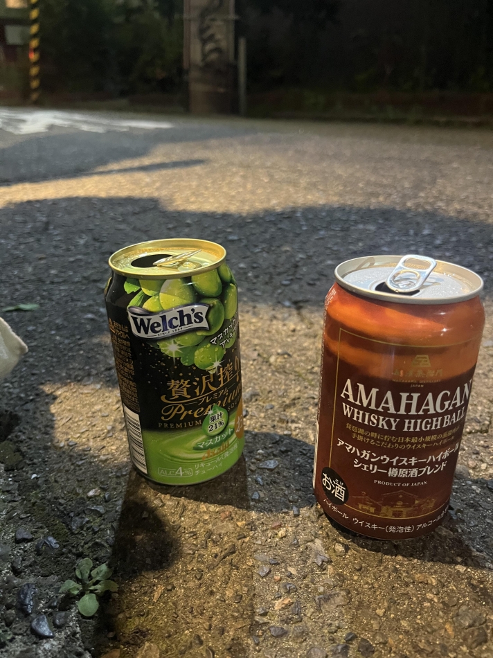 一条 葵