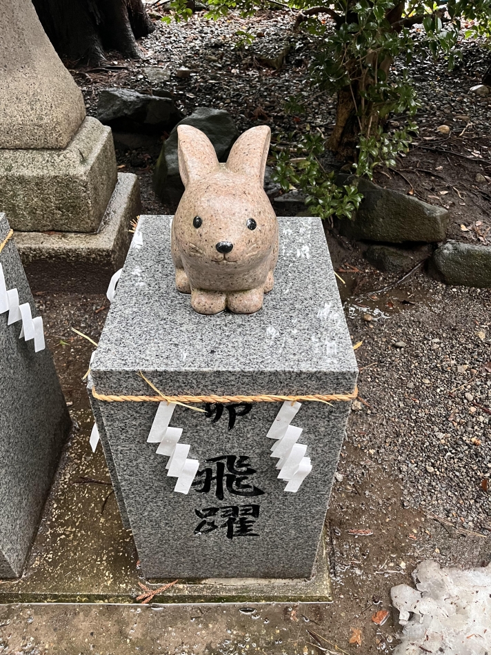 JEUNESSE日記1637902