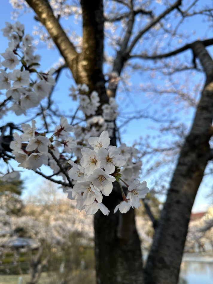 改めて！ご新規様キャンペーンのご案内🎁