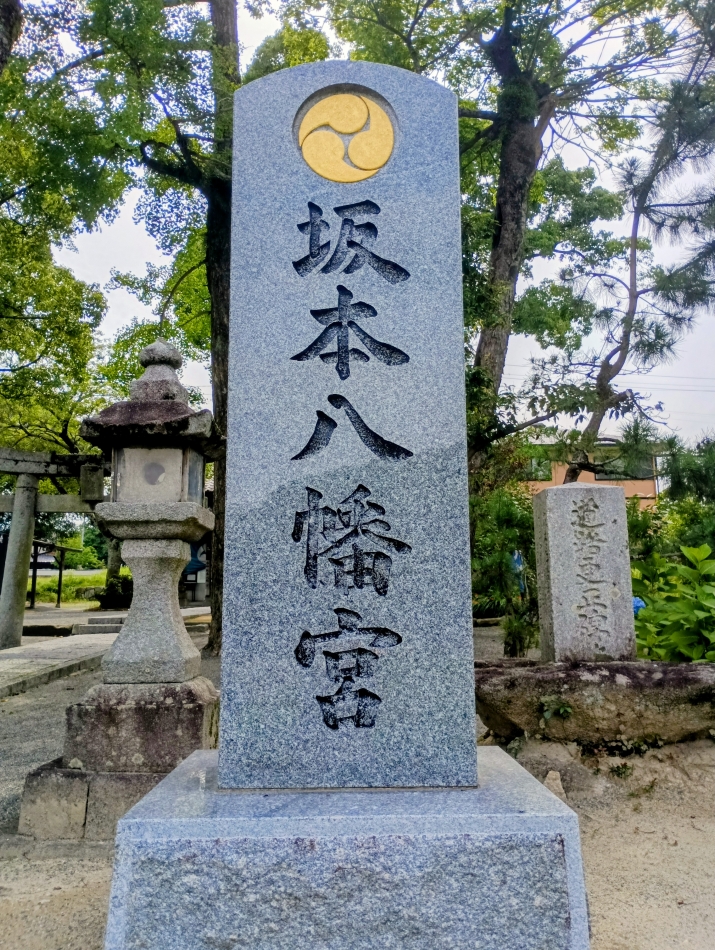 愛咲 千夏