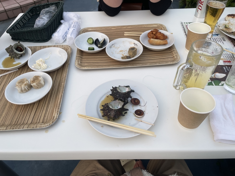 一条 葵
