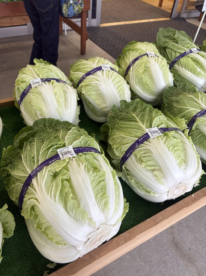 クラブ プラチナ 諏訪日記1512751